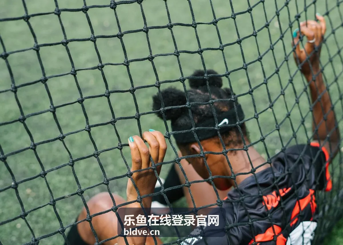 乐鱼在线登录官网账号安全设置界面示意